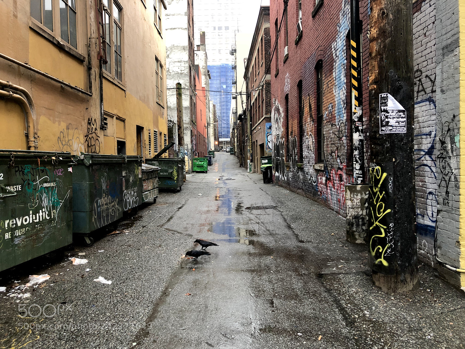 Apple iPhone 8 sample photo. 2017 vancouver photography