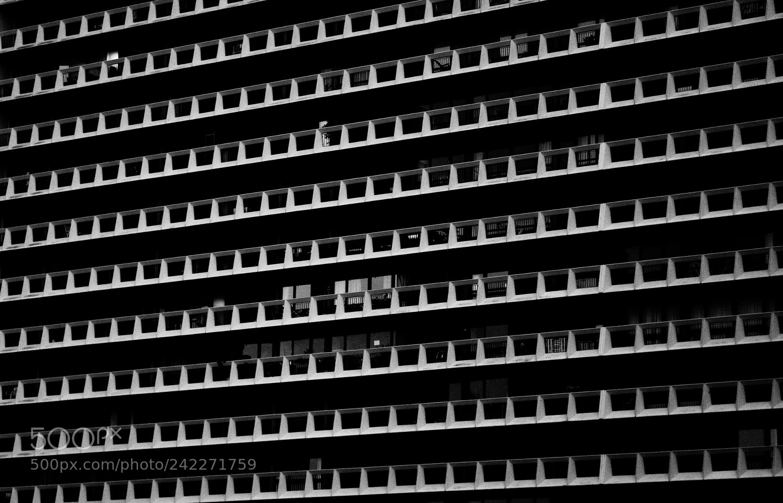 Canon EOS 1000D (EOS Digital Rebel XS / EOS Kiss F) sample photo. Pattern photography