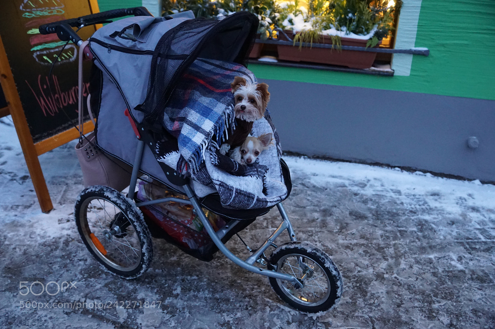 Sony DT 16-50mm F2.8 SSM sample photo. Cold photography