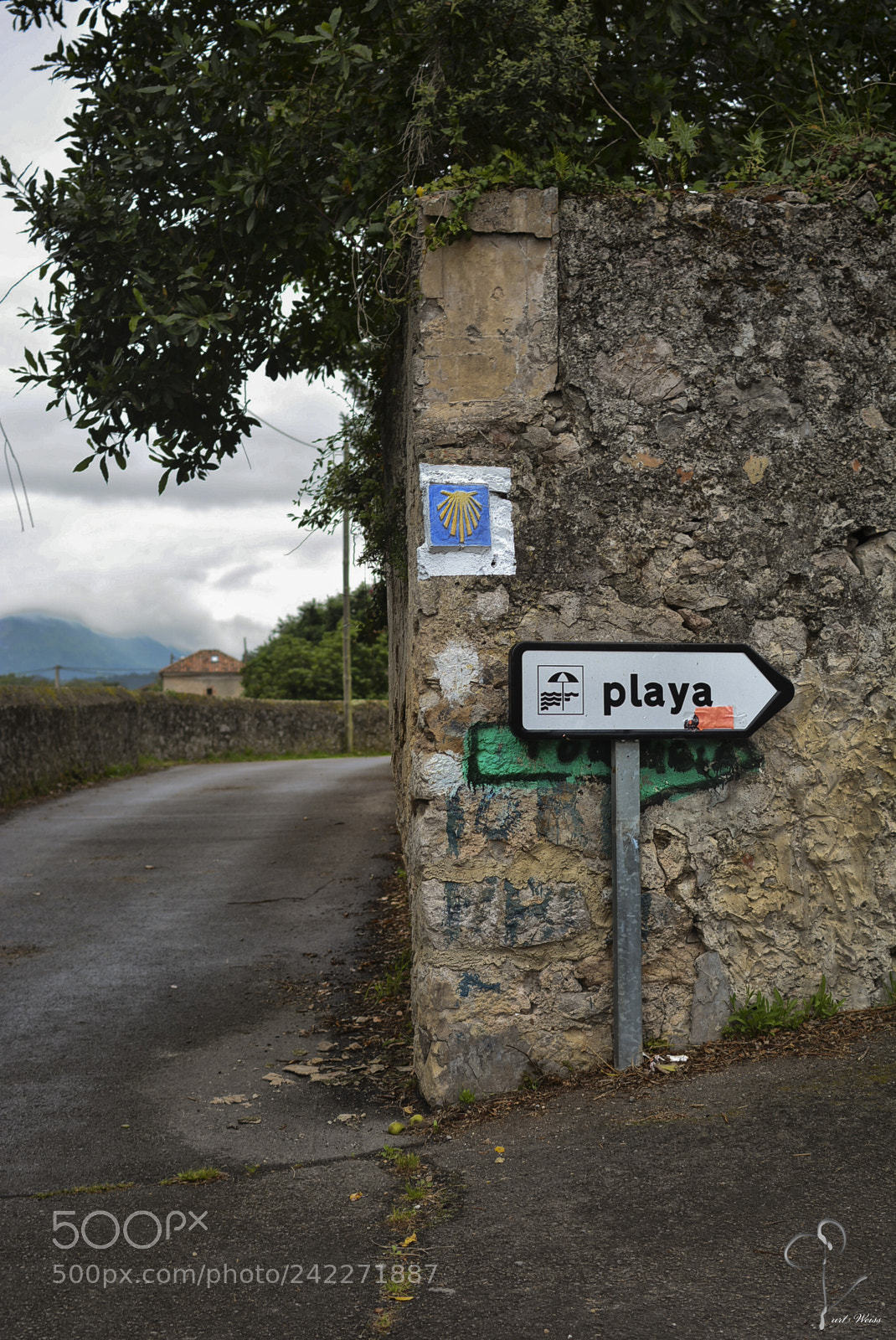 Nikon D7100 sample photo. Which way is right? photography