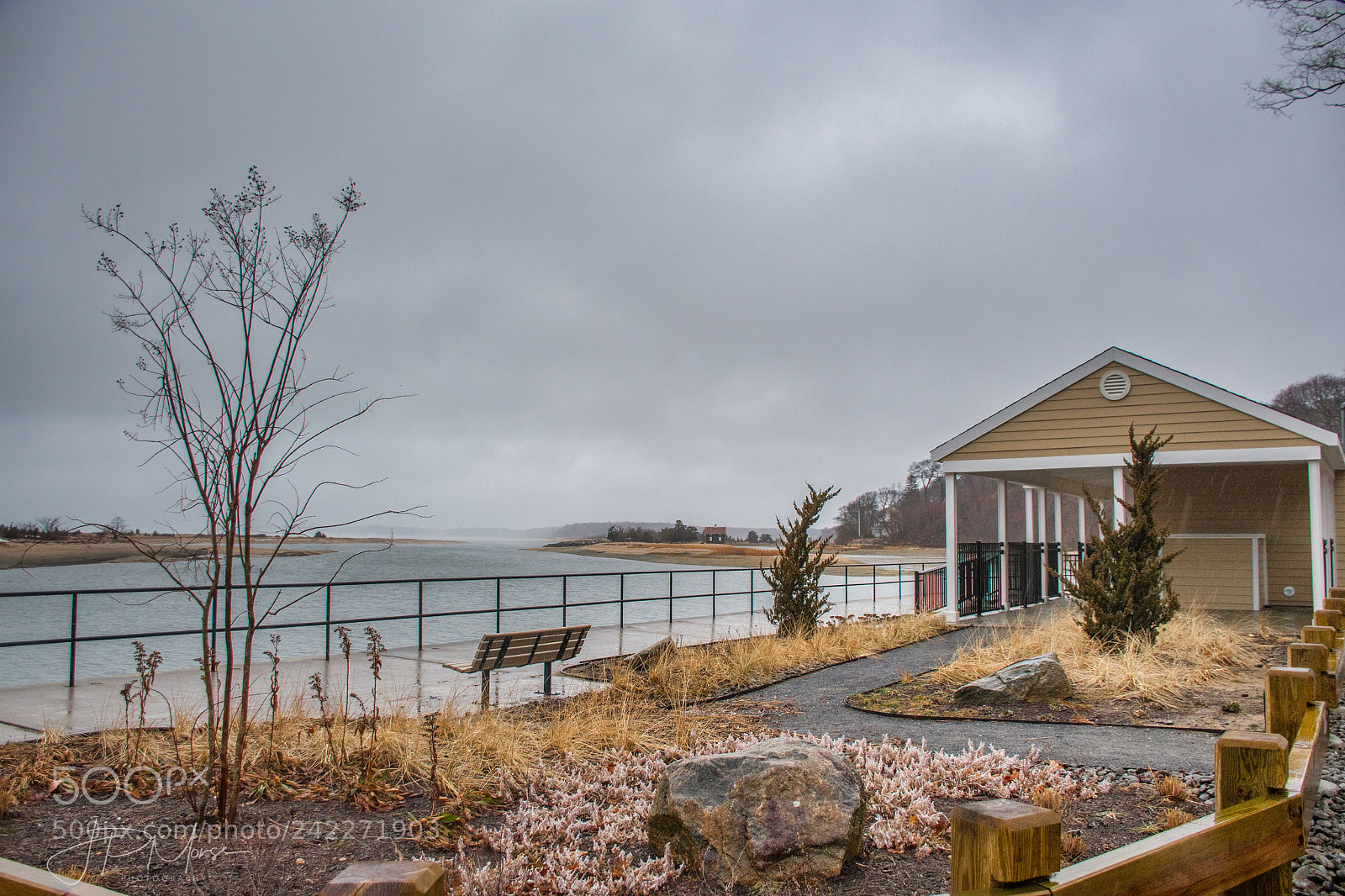 Nikon D500 sample photo. Warm winter day photography