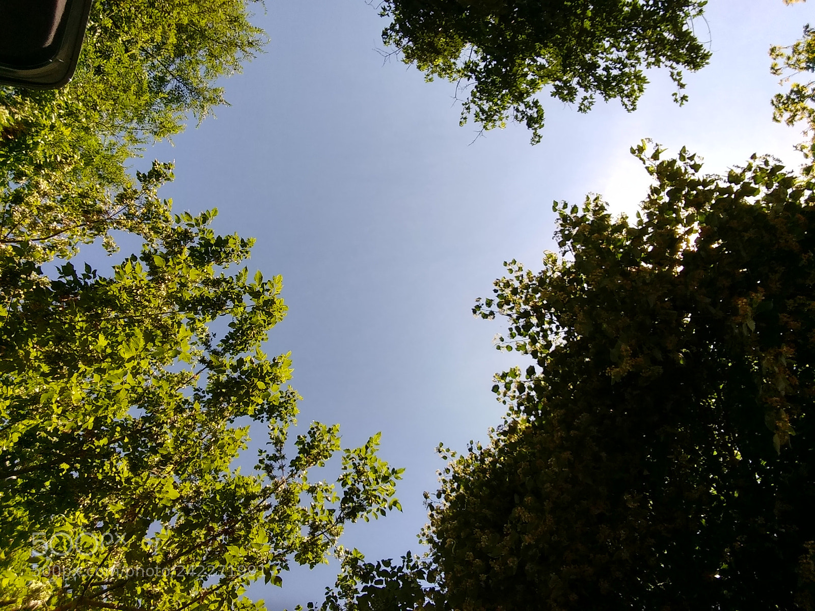 Motorola Moto G (4) sample photo. Carorle photography