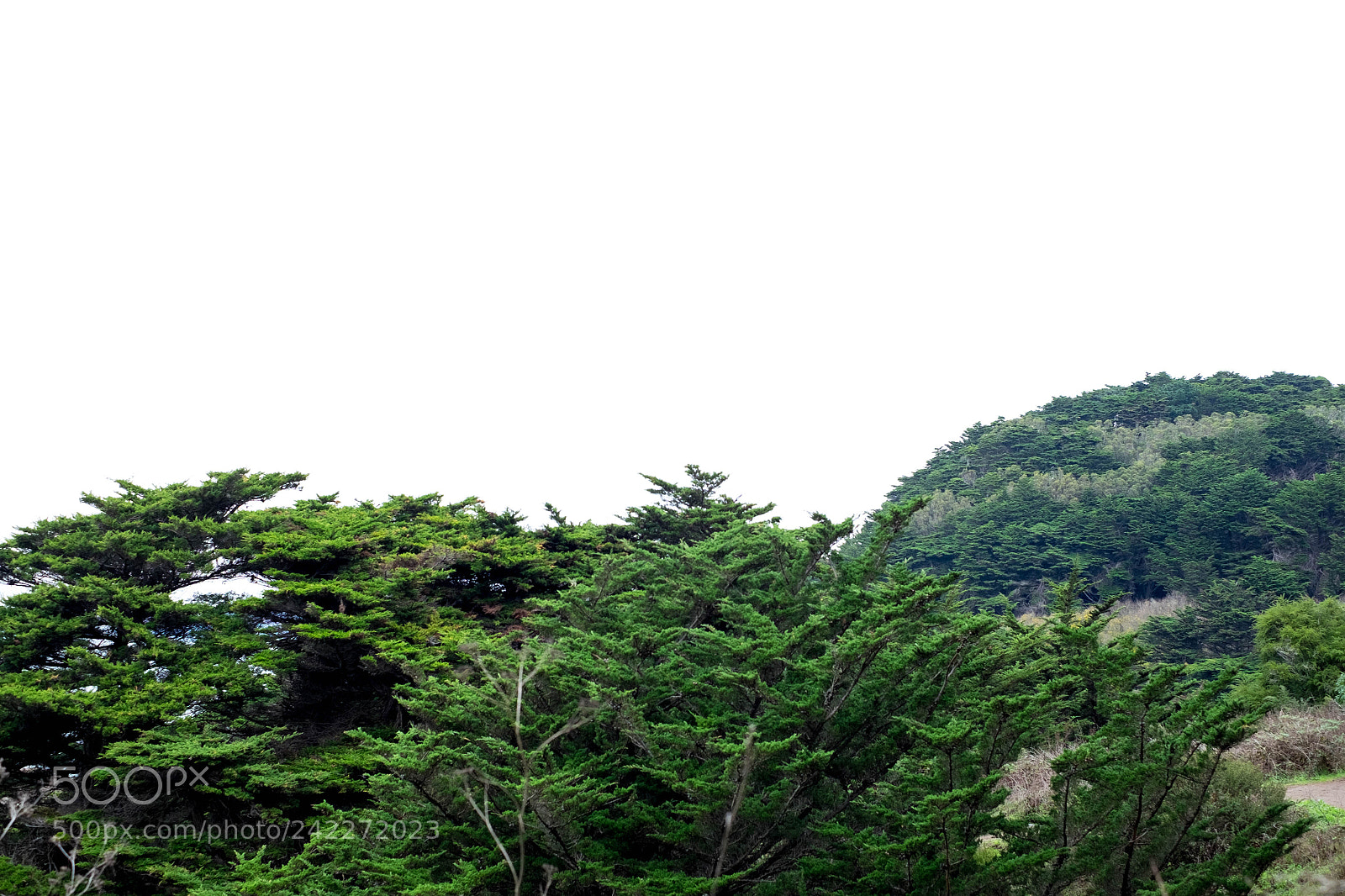 Fujifilm X-T1 sample photo. Untitled photography