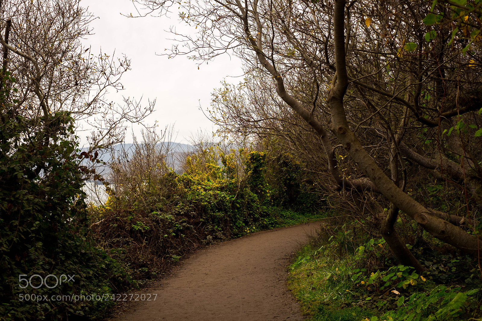 Fujifilm X-T1 sample photo. Untitled photography