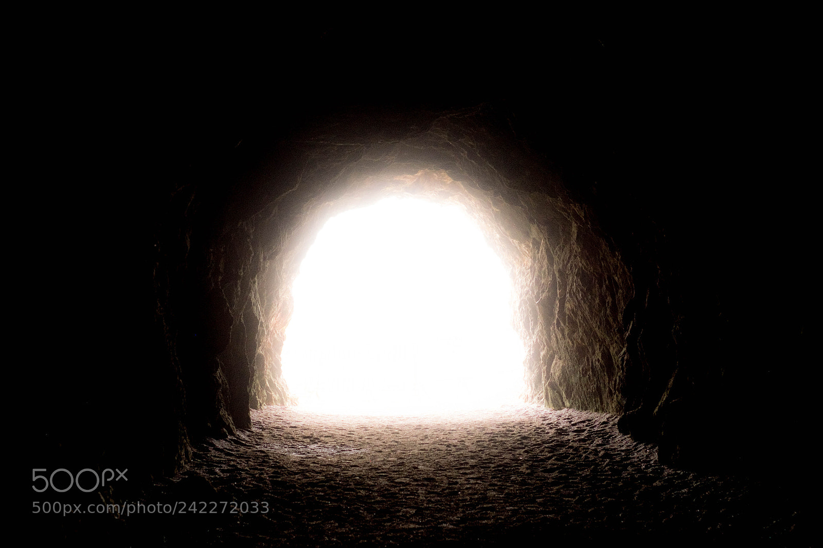 Fujifilm X-T1 sample photo. Untitled photography