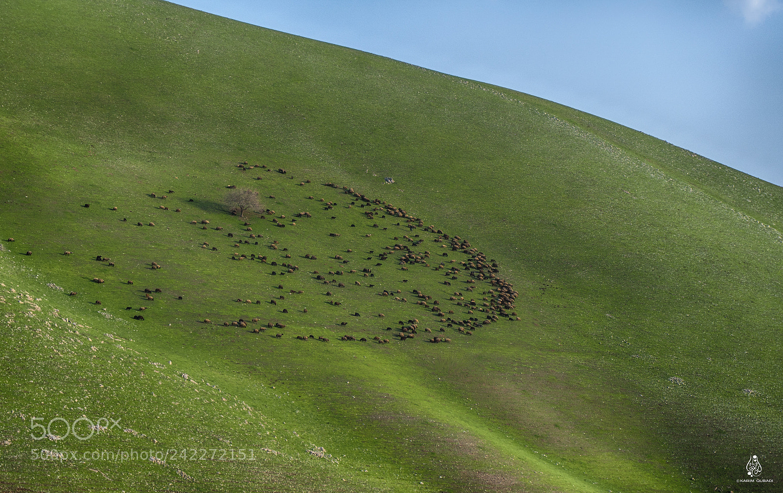 Sony a6500 sample photo. Kurdistan nature photography