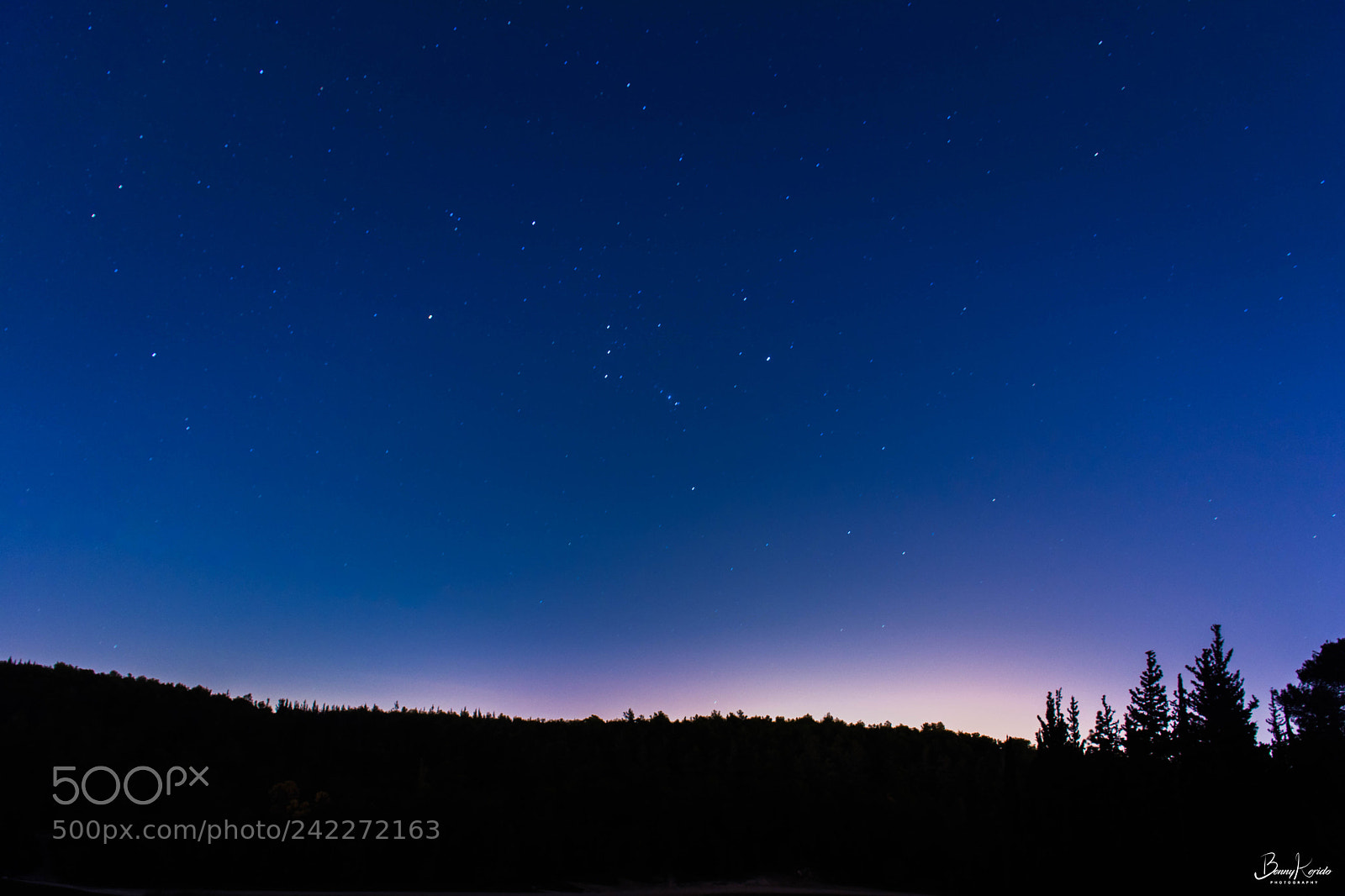 Nikon D7100 sample photo. Night photography