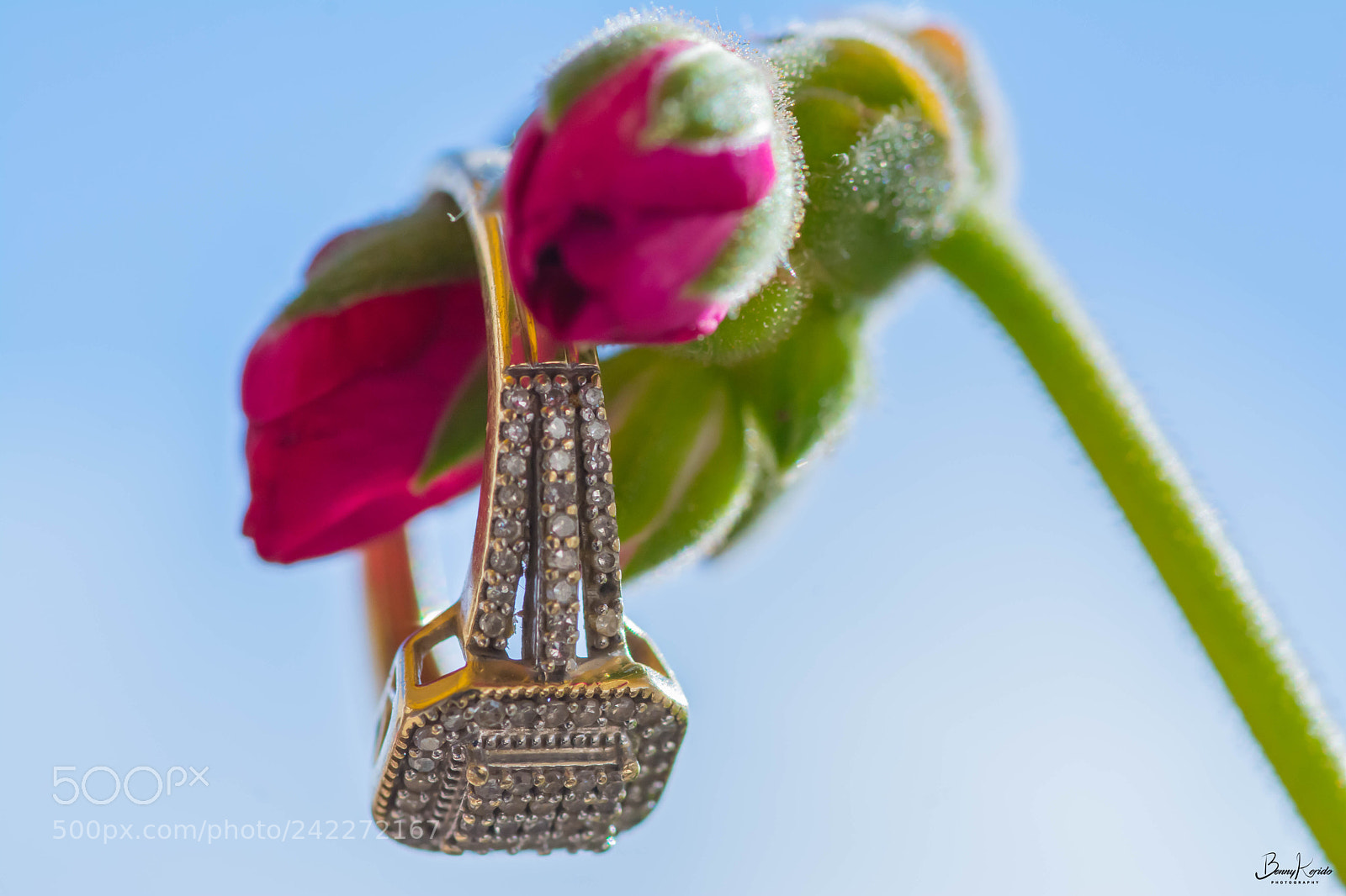 Nikon D7100 sample photo. Ring photography