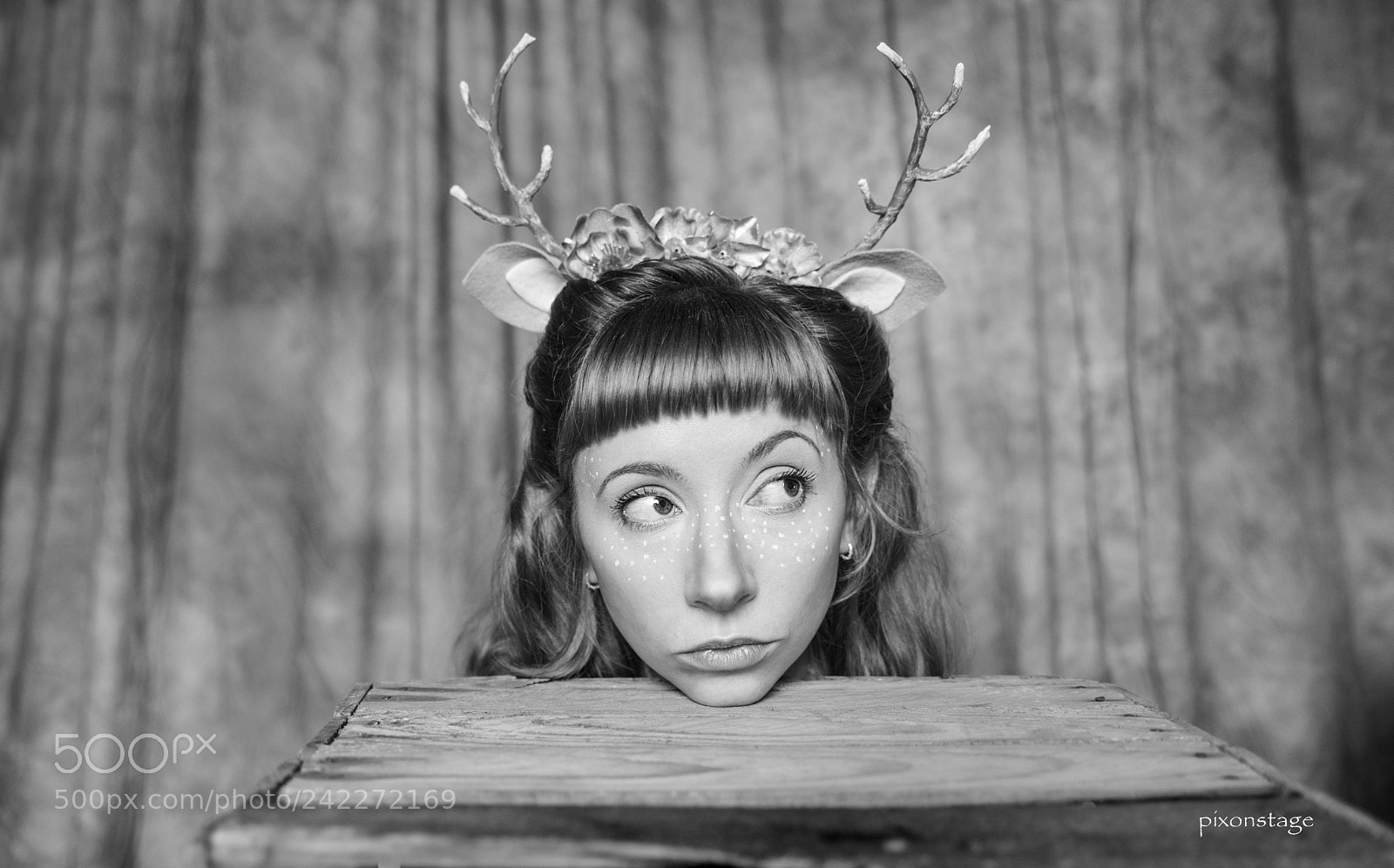 Nikon D800 sample photo. Head of a reindeer photography