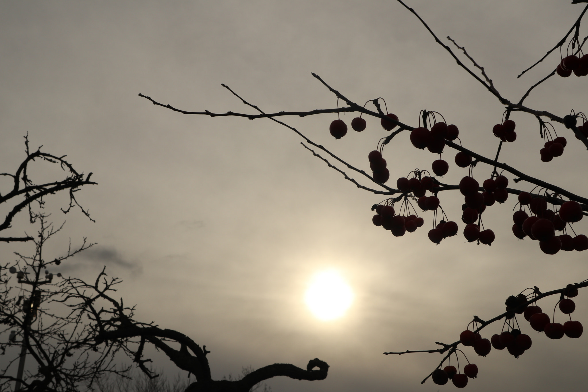Canon EOS M5 sample photo. Last day photography