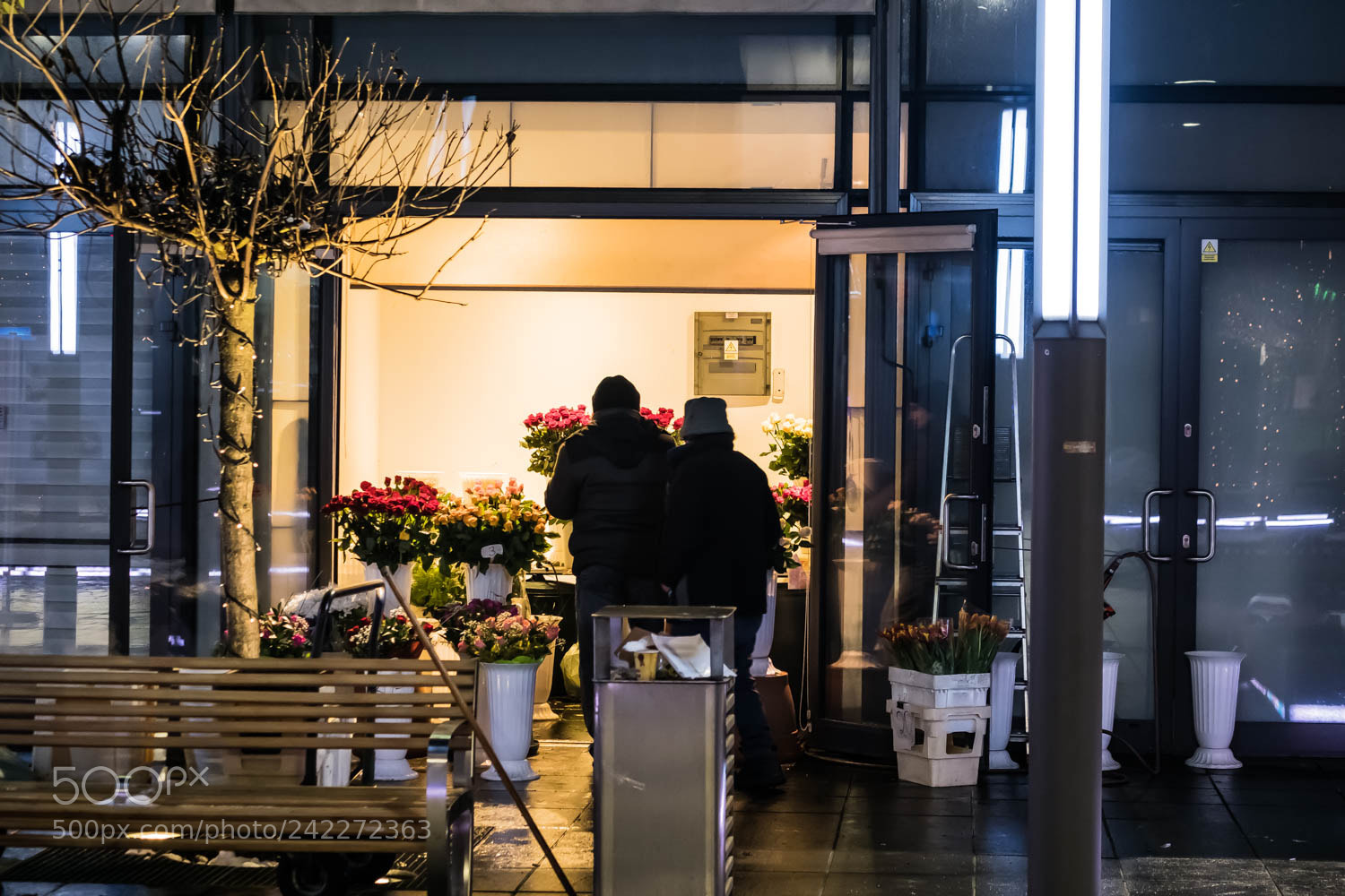 Fujifilm X-T20 sample photo. Dscf photography