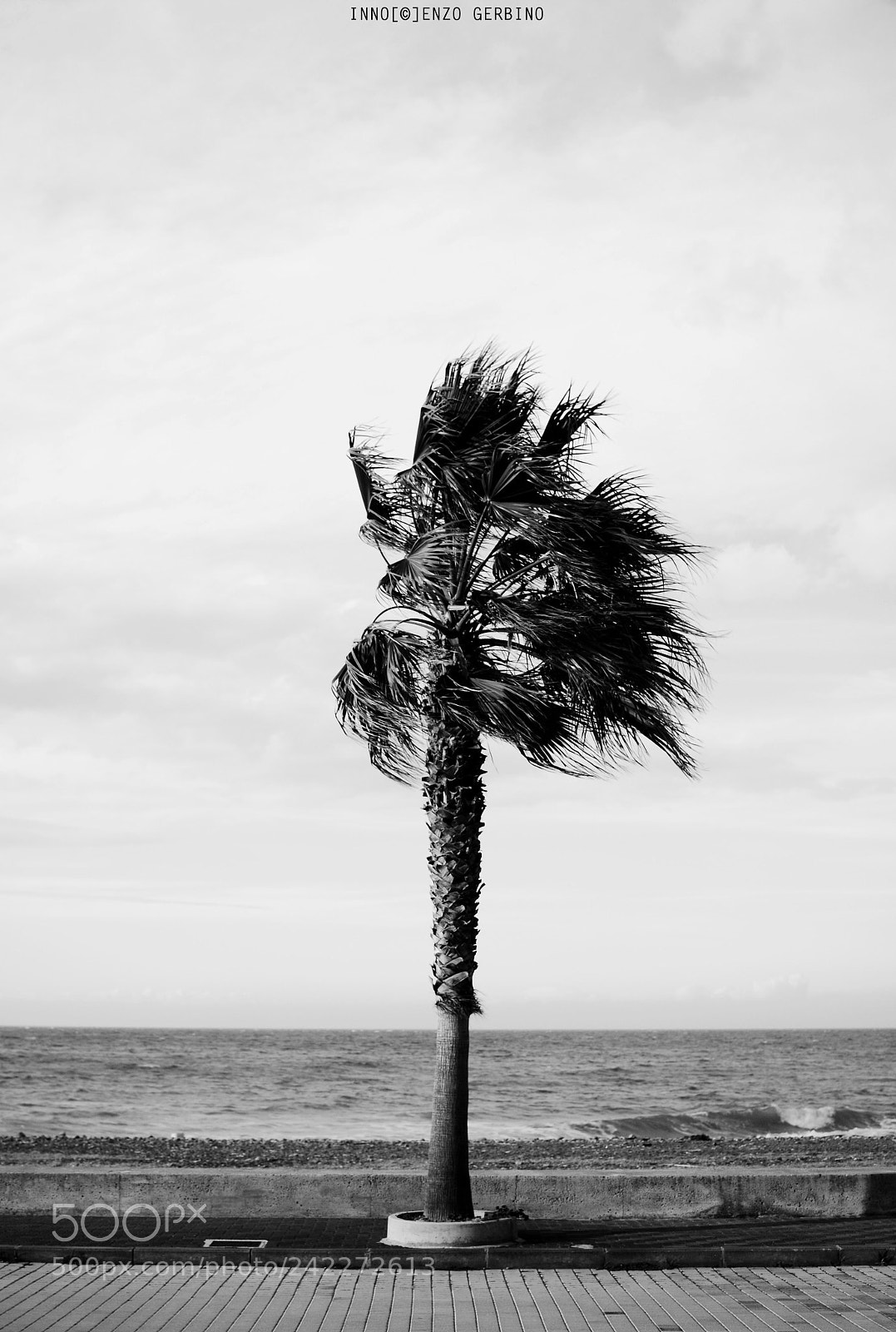 Nikon D7100 sample photo. Untitled photography
