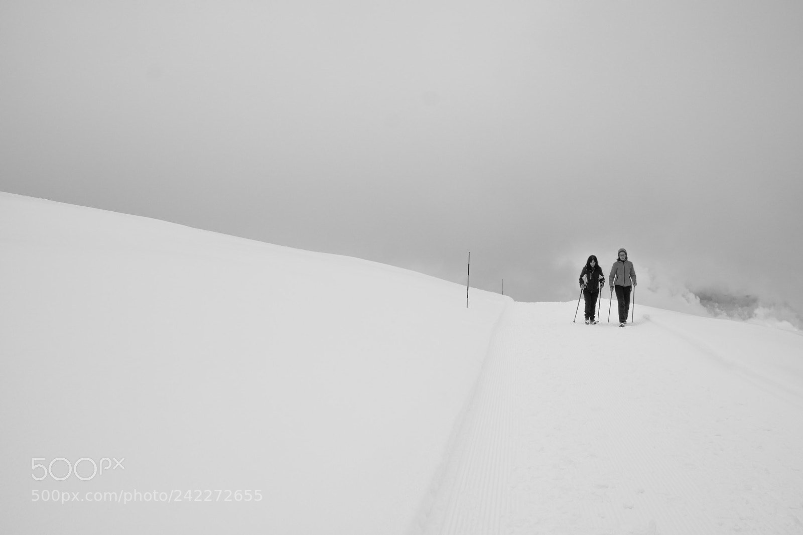 Sony a6300 sample photo. Walking into the white photography