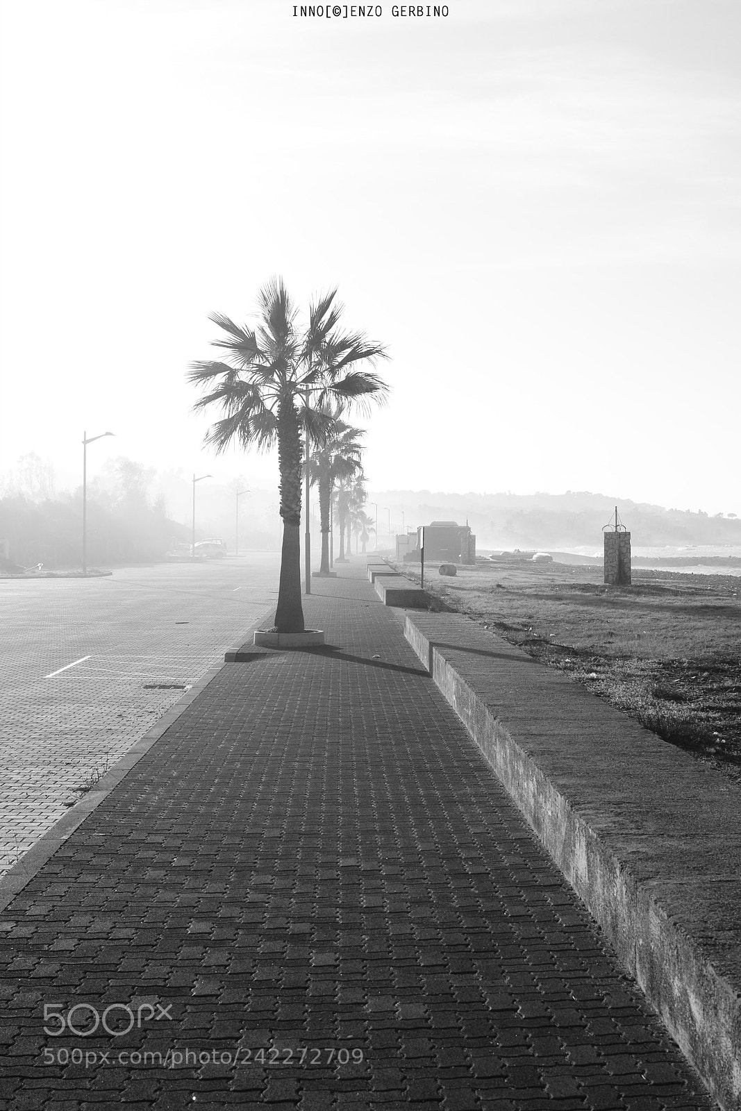 Nikon D7100 sample photo. Untitled photography