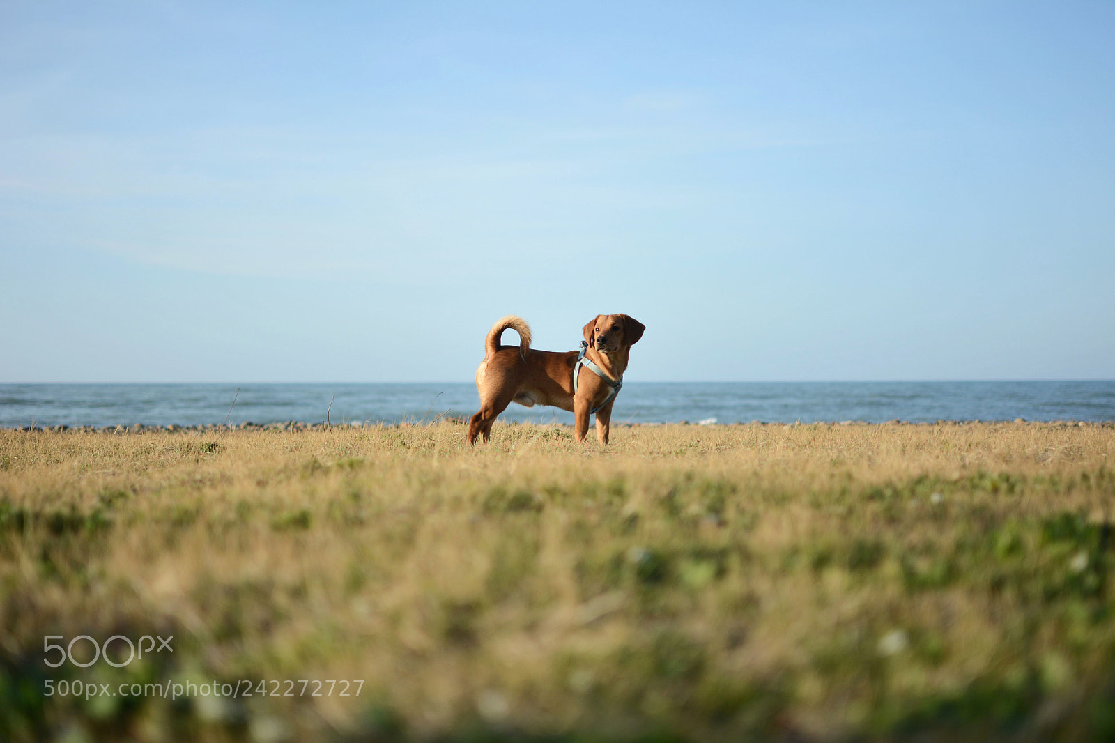Nikon D7100 sample photo. Untitled photography