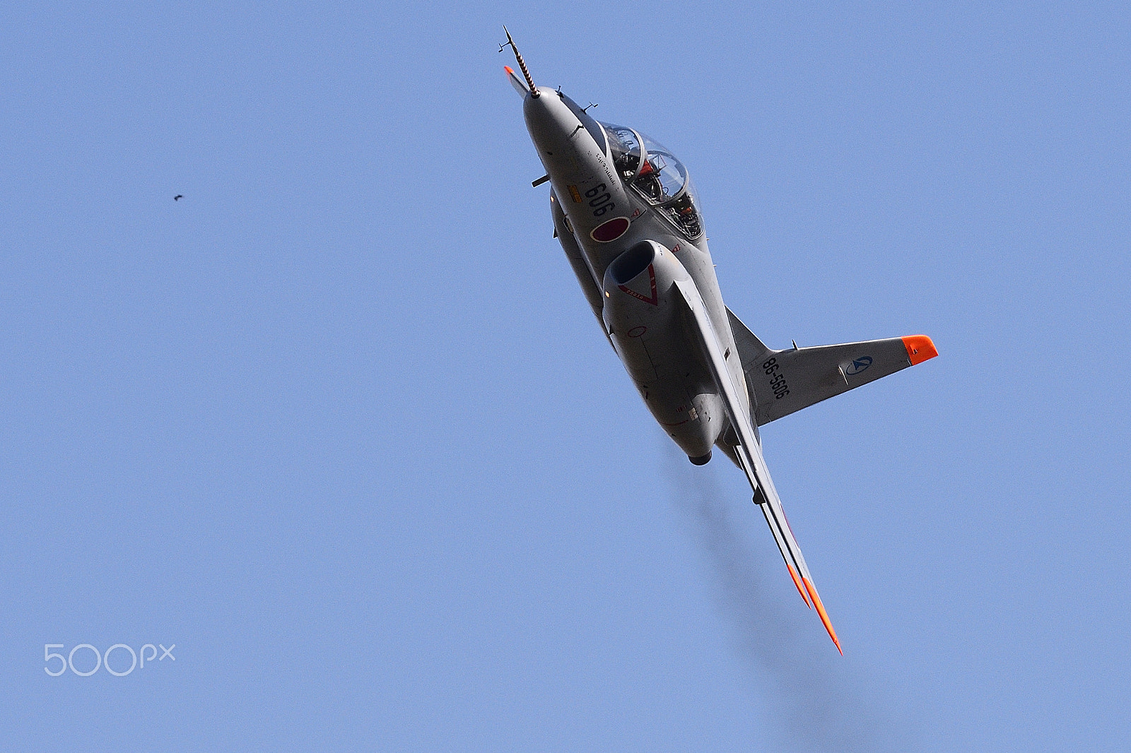 Nikon D500 sample photo. Jasdf t-4 057_d5h_7494 photography