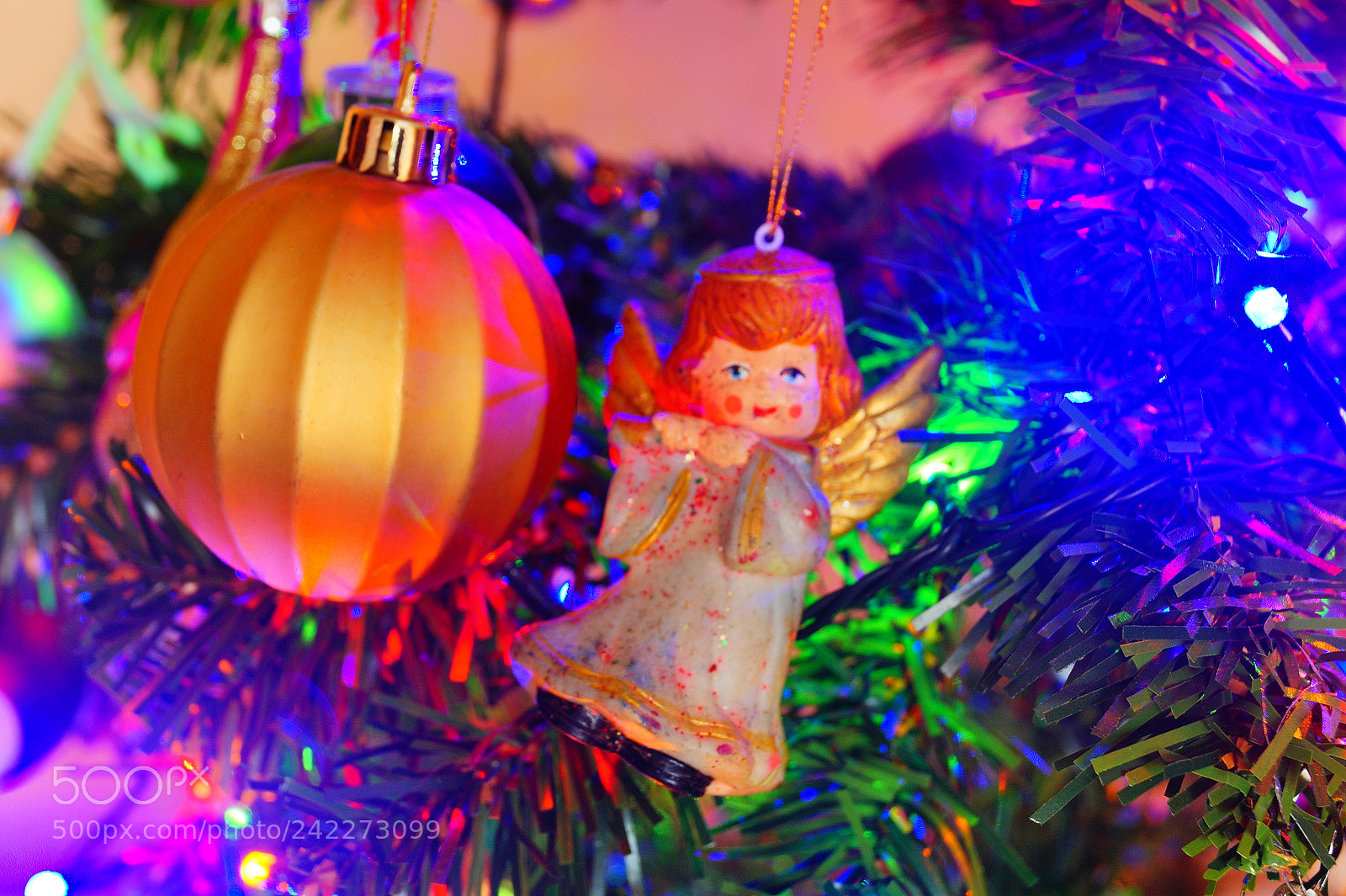 Sony SLT-A58 sample photo. Untitled photography
