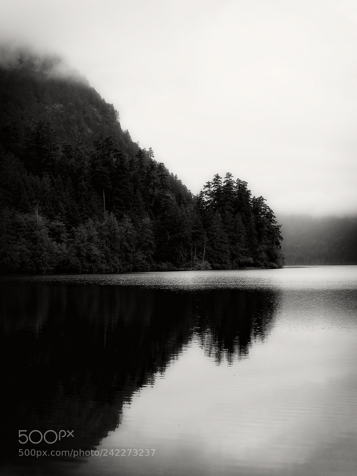 Olympus OM-D E-M10 sample photo. Cameron lake photography