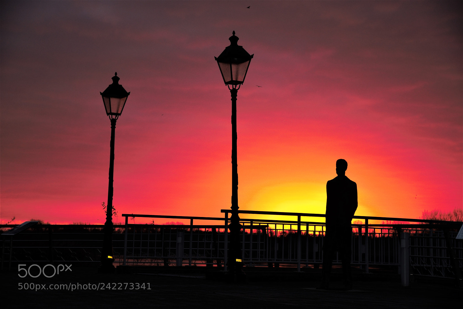 Nikon D800 sample photo. Fullcolor photography