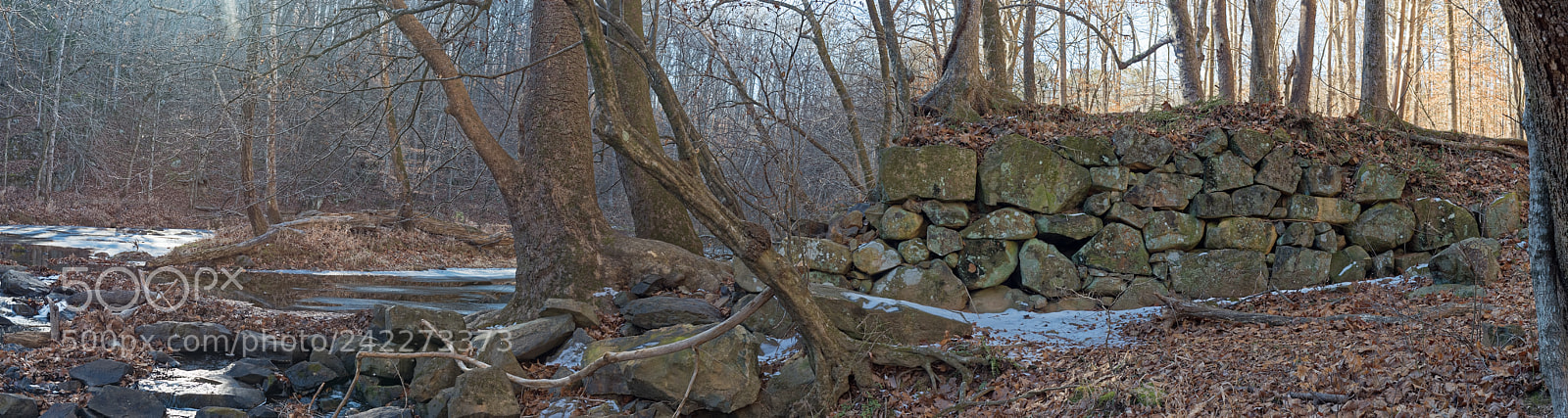 Nikon D810 sample photo. Enoriverparkbuckquartertraildurhamnc panodefcde334 photography