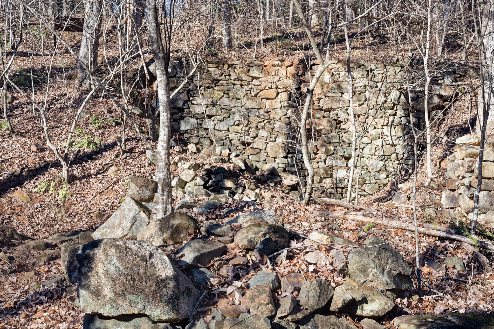 Nikon D810 sample photo. Enoriverparkbuckquartertraildurhamnc photography