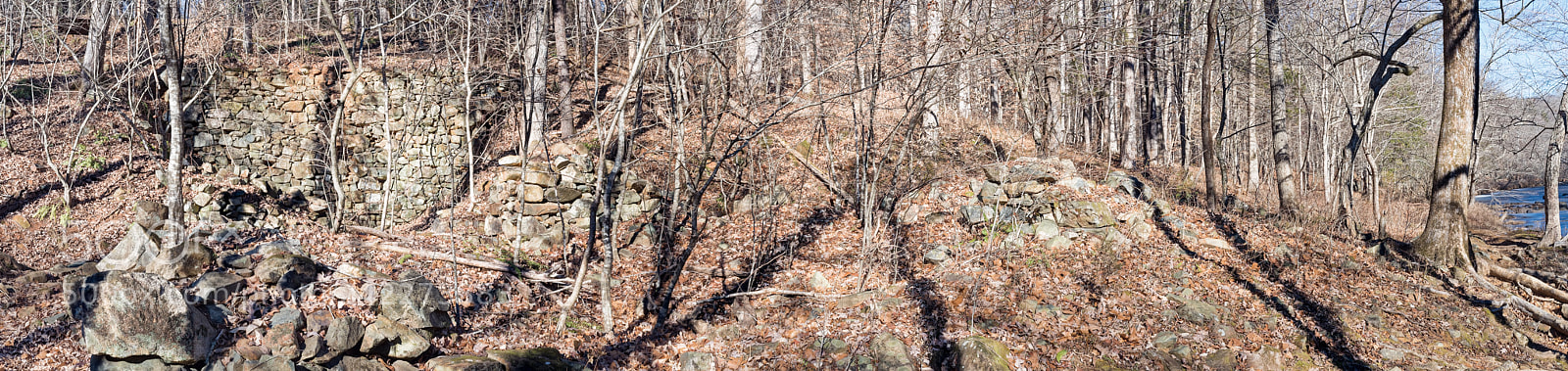 Nikon D810 sample photo. Enoriverparkbuckquartertraildurhamnc 93374hf photography