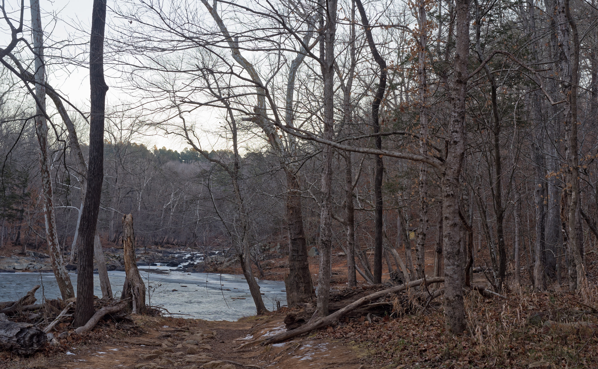 Nikon D810 sample photo. Enoriverparkbuckquartertraildurhamnc photography