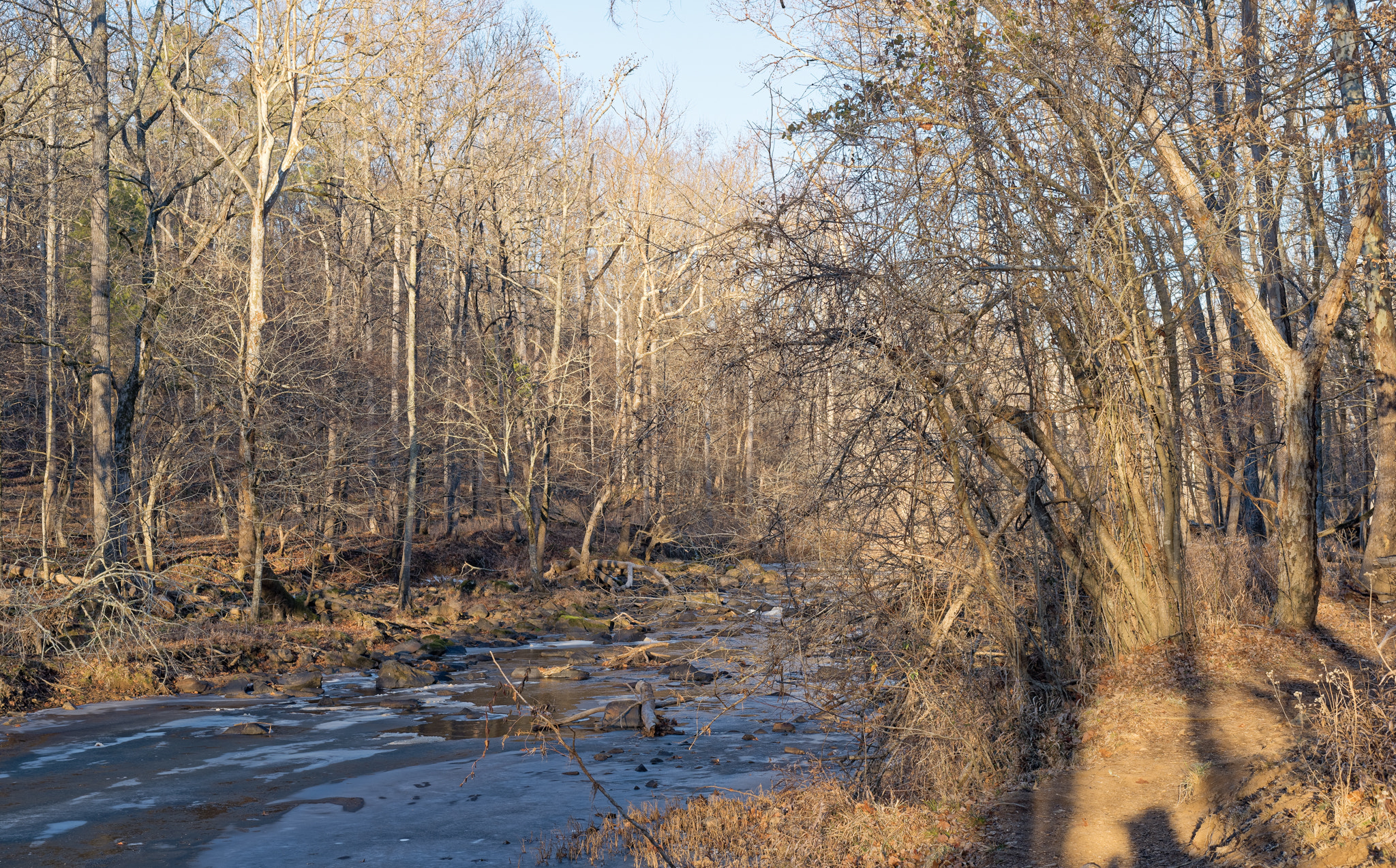 Nikon D810 + Sigma 50mm F1.4 DG HSM Art sample photo. Enoriverparkbuckquartertraildurhamnc photography