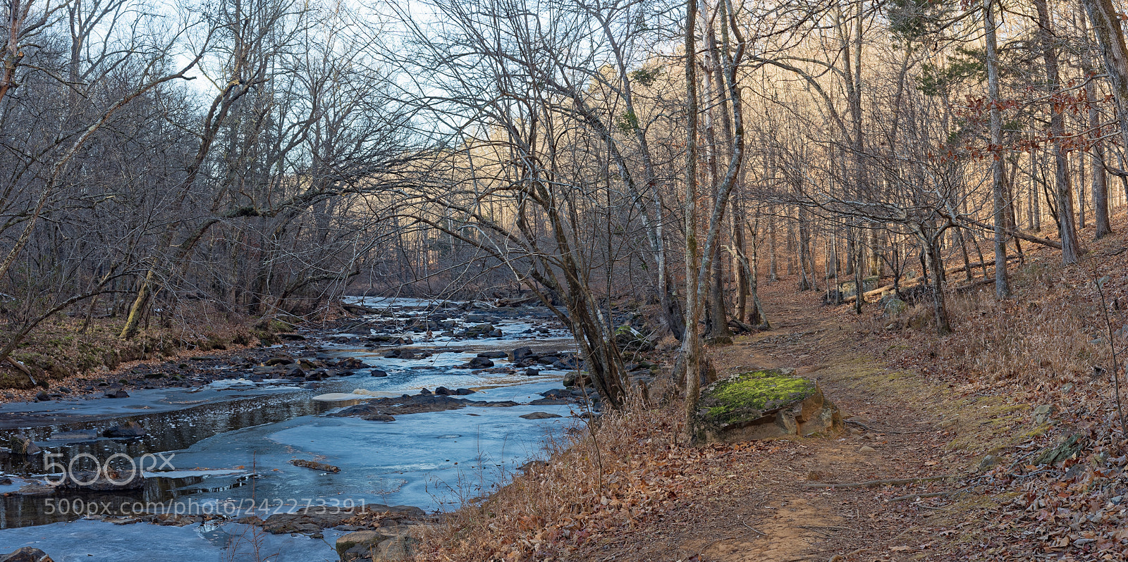 Nikon D810 sample photo. Enoriverparkbuckquartertraildurhamnc0,38ffh photography
