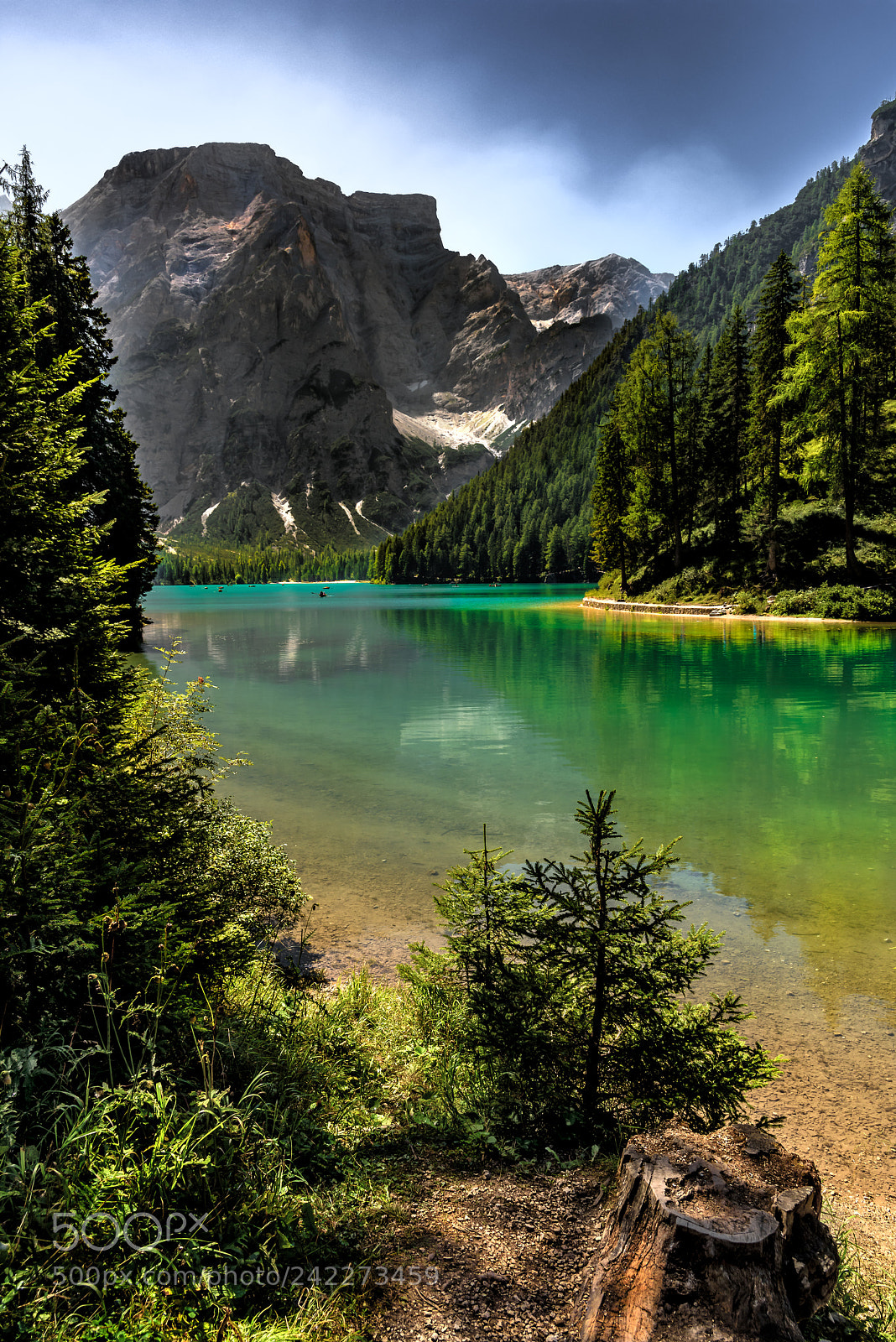 Nikon D810 sample photo. Dream lake photography