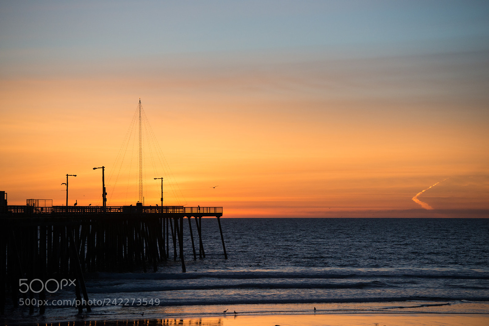 Nikon D800 sample photo. Pismo beach sunset photography