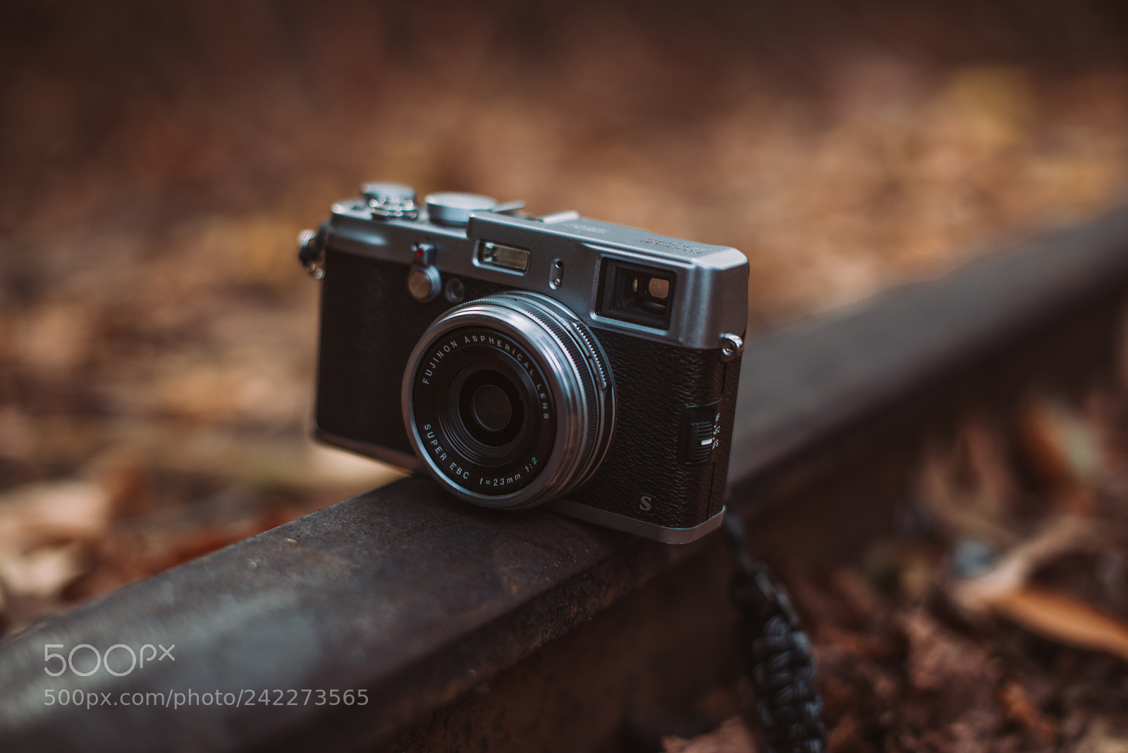Nikon D800 sample photo. Camera man photography