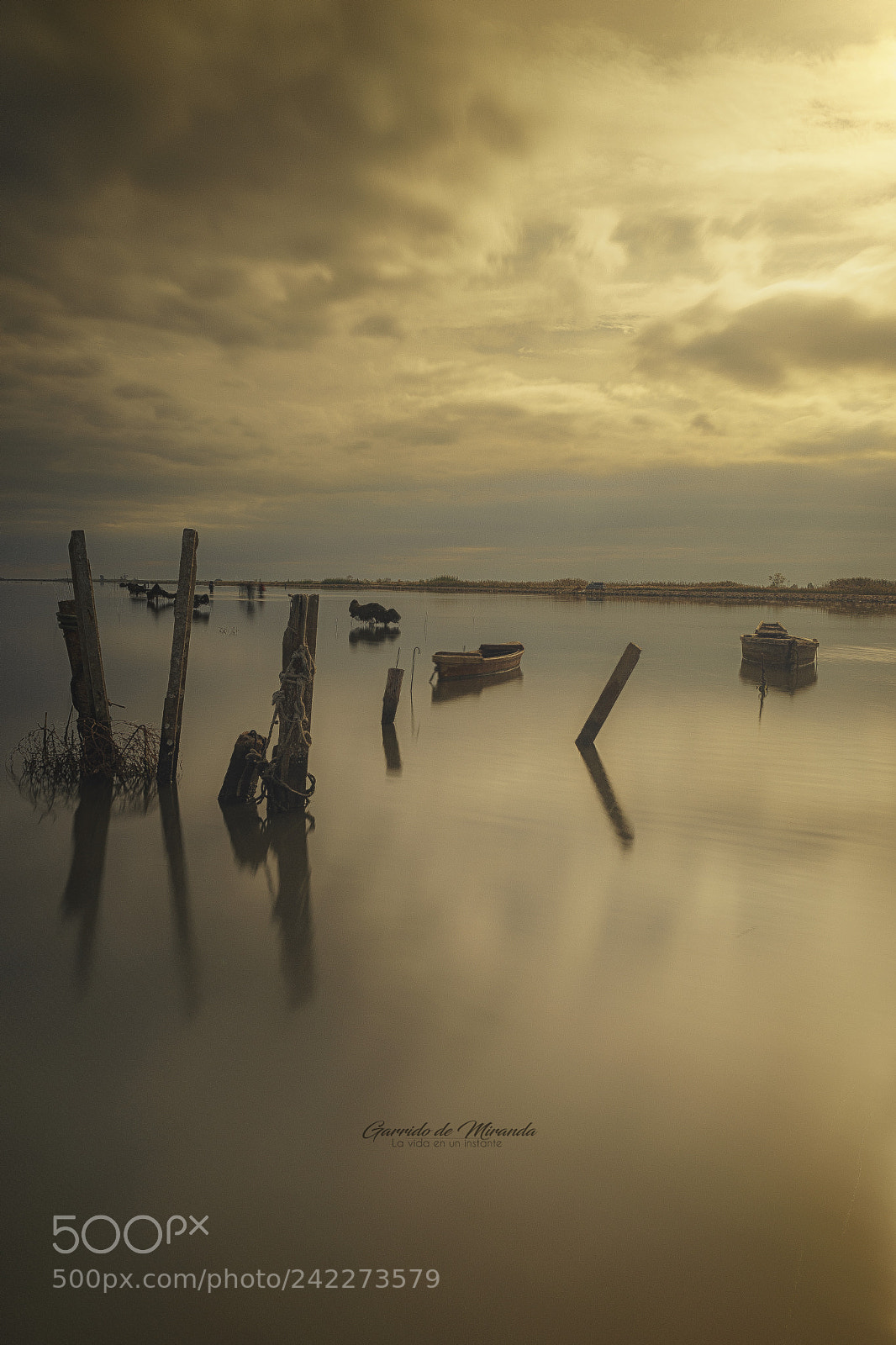 Sony a7 sample photo. Broad daylight photography