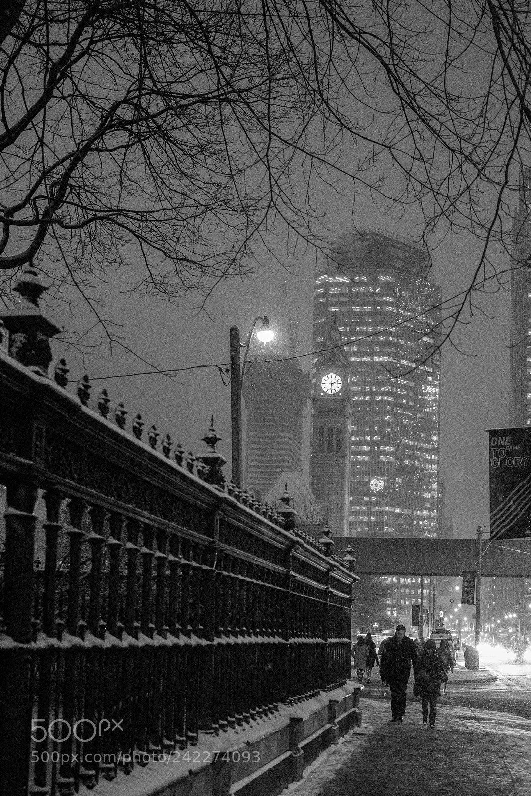 Canon EOS 6D Mark II sample photo. Winter at osgoode photography