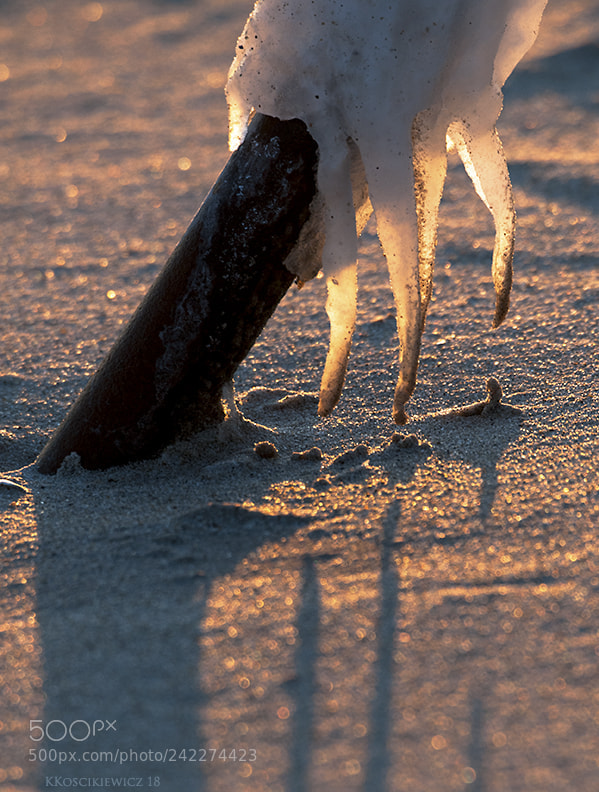 Nikon D300S sample photo. Ice at the beach photography
