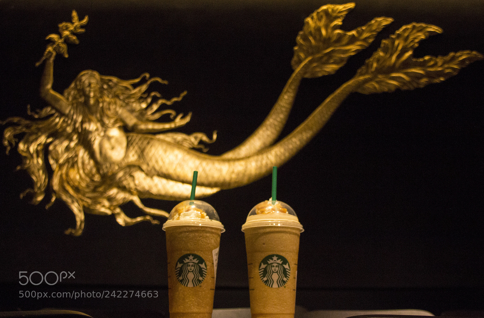 Canon EOS 60D sample photo. 2 tailed mermaid photography