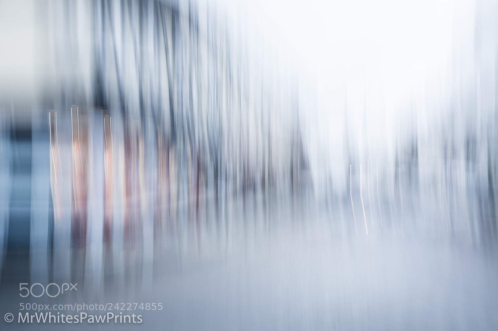 Nikon D7100 sample photo. Triple exposed tavistock photography