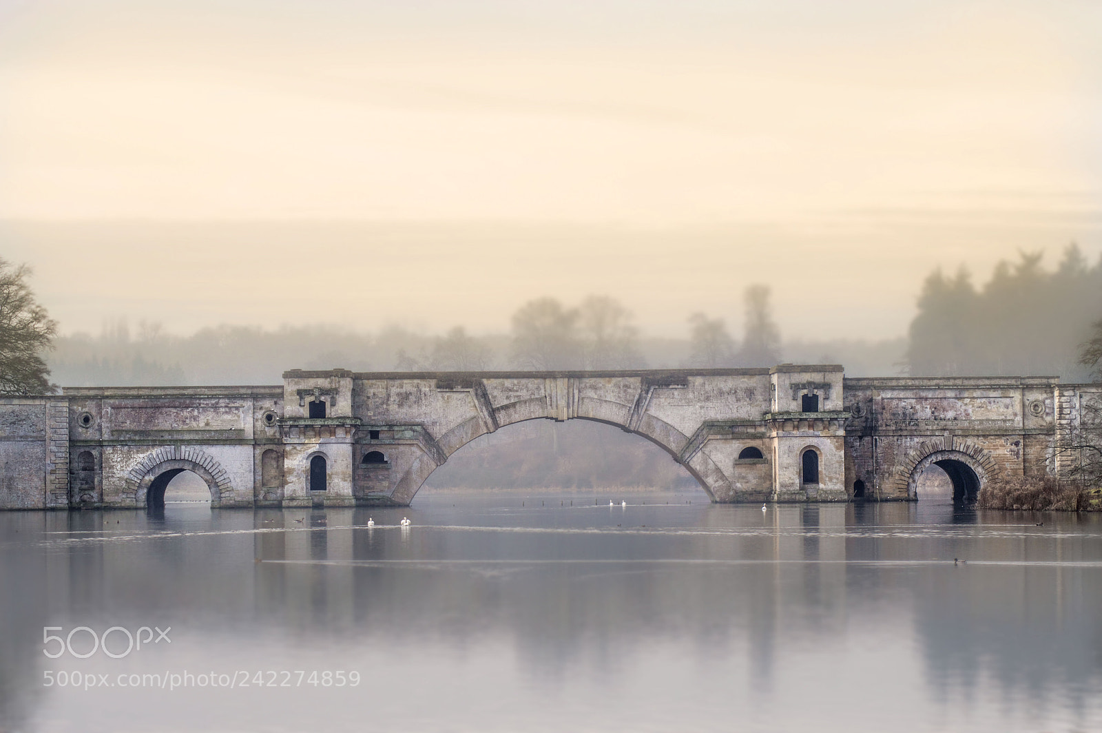 Nikon D3200 sample photo. The grand bridge photography