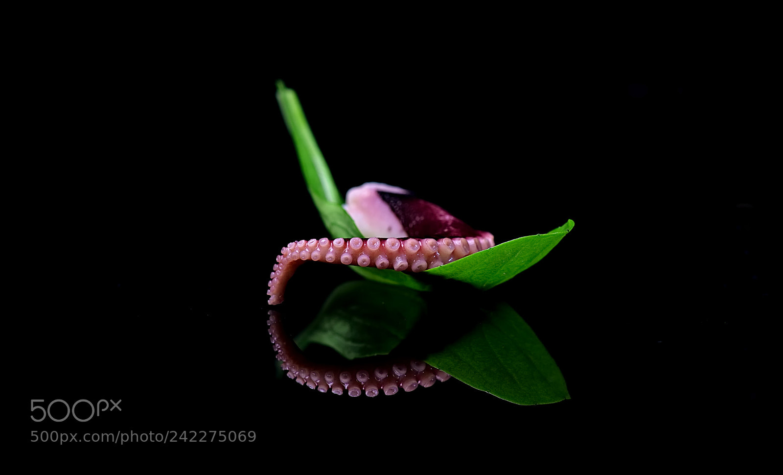 Canon EOS 750D (EOS Rebel T6i / EOS Kiss X8i) sample photo. Tentacles photography