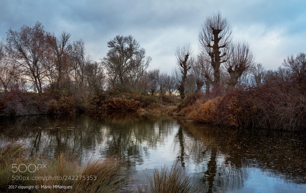 Canon EOS 60D sample photo. Lago... photography