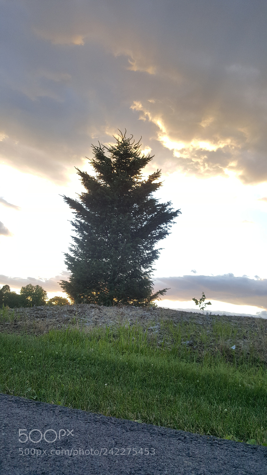 Samsung Galaxy Note5 sample photo. () photography