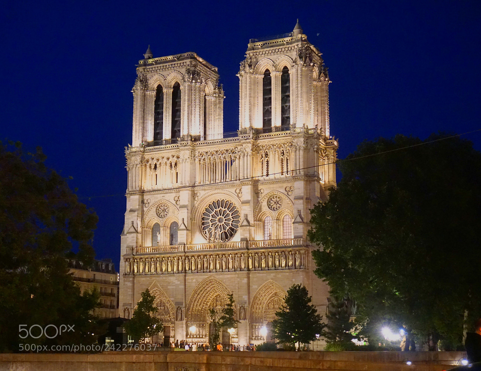 Sony a6000 + Sony E 18-50mm F4-5.6 sample photo. Notre dame photography