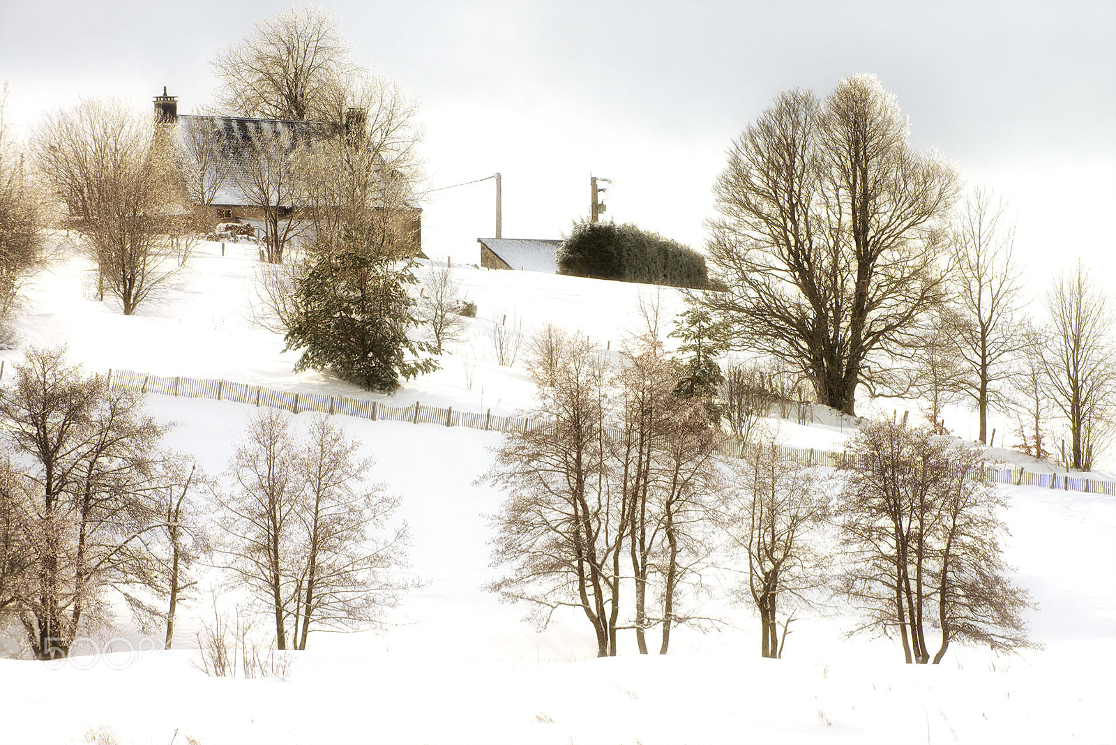 Nikon D800 sample photo. Auvergne - winter 2017 #13 photography