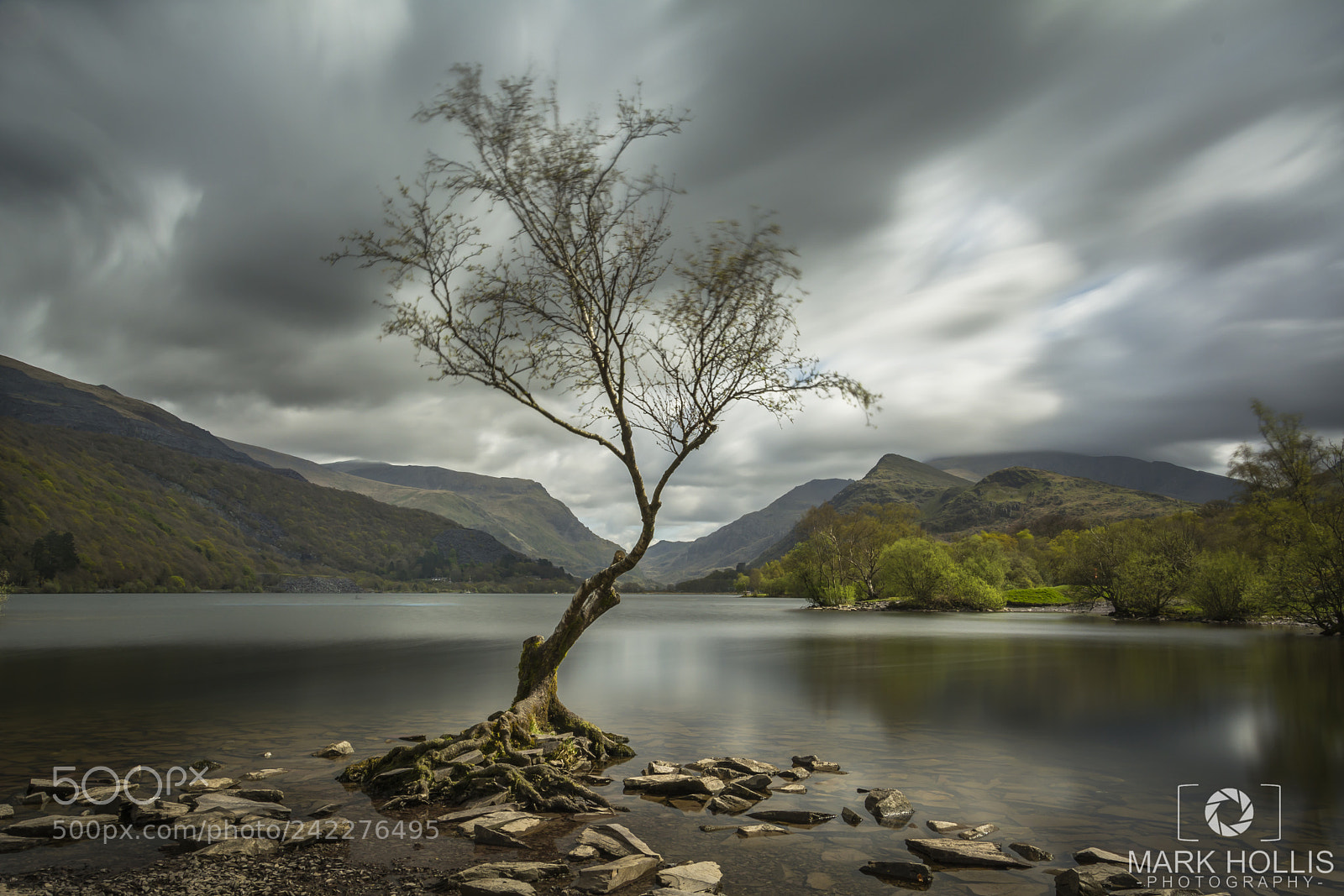 Nikon D7100 sample photo. The lone tree photography