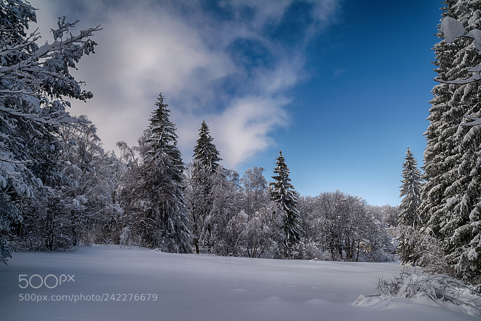 Nikon D7100 sample photo. Winter photography