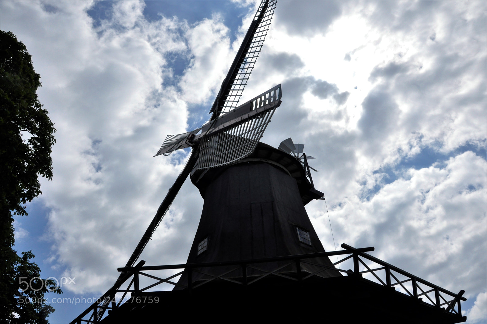 Nikon D90 sample photo. From the ground photography