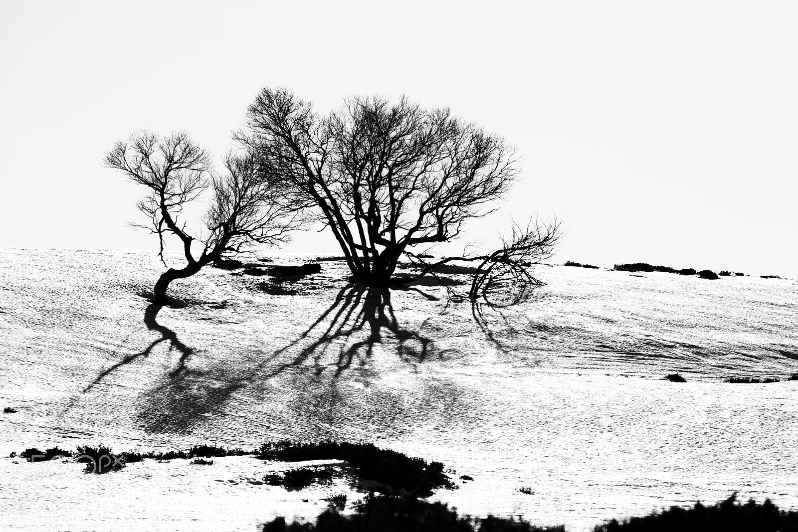 Nikon D800 sample photo. Auvergne - winter 2017 #14 photography