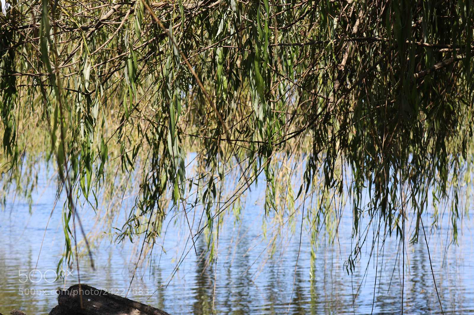Canon EOS 750D (EOS Rebel T6i / EOS Kiss X8i) sample photo. Img photography