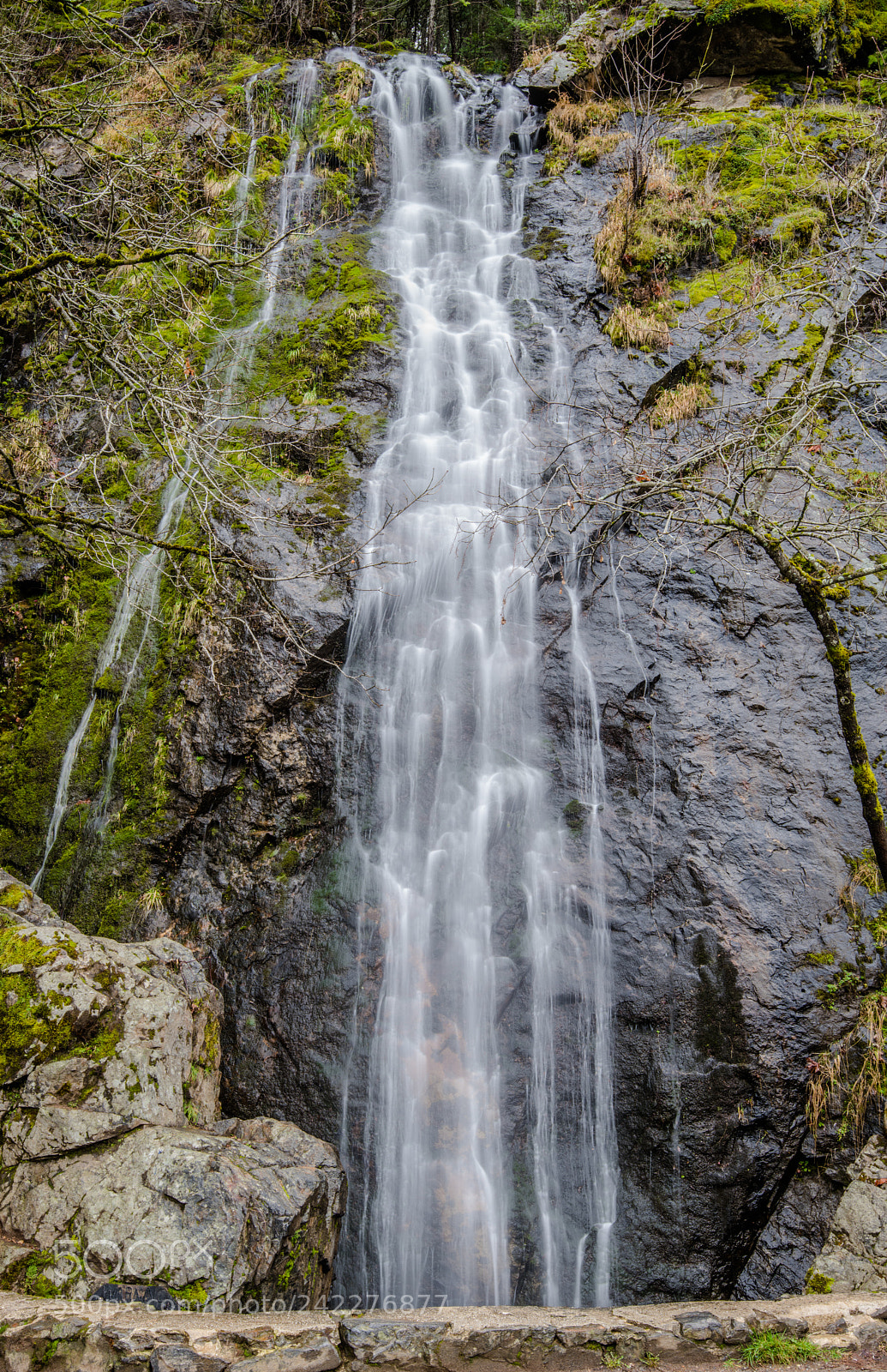 Nikon D850 sample photo. Bridal vail falls photography