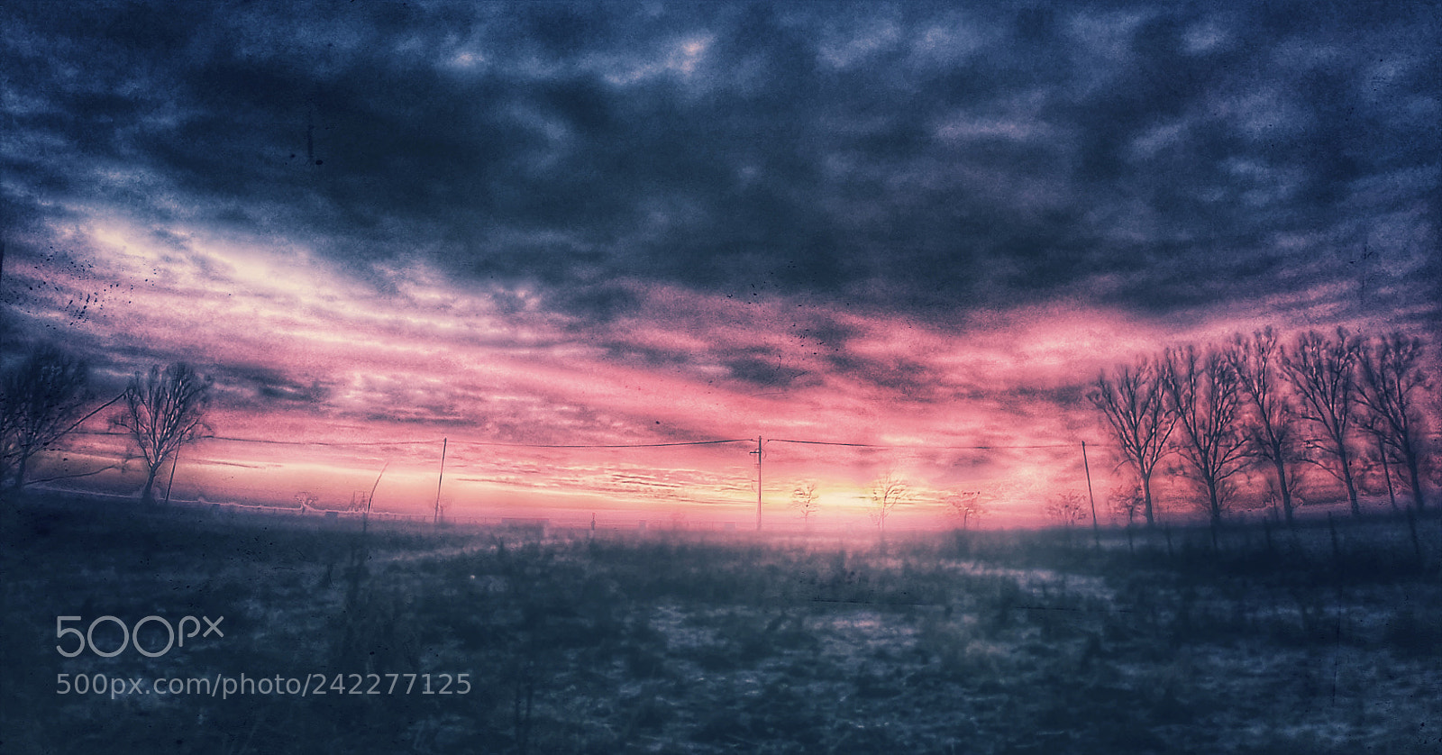 LG G6 sample photo. Good morning photography